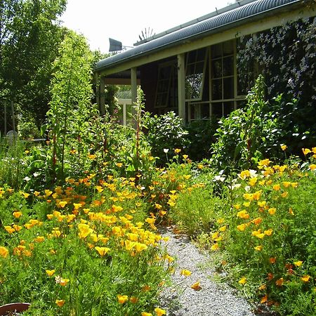 Motel Holly Lane Mews Yarra Glen Exterior foto