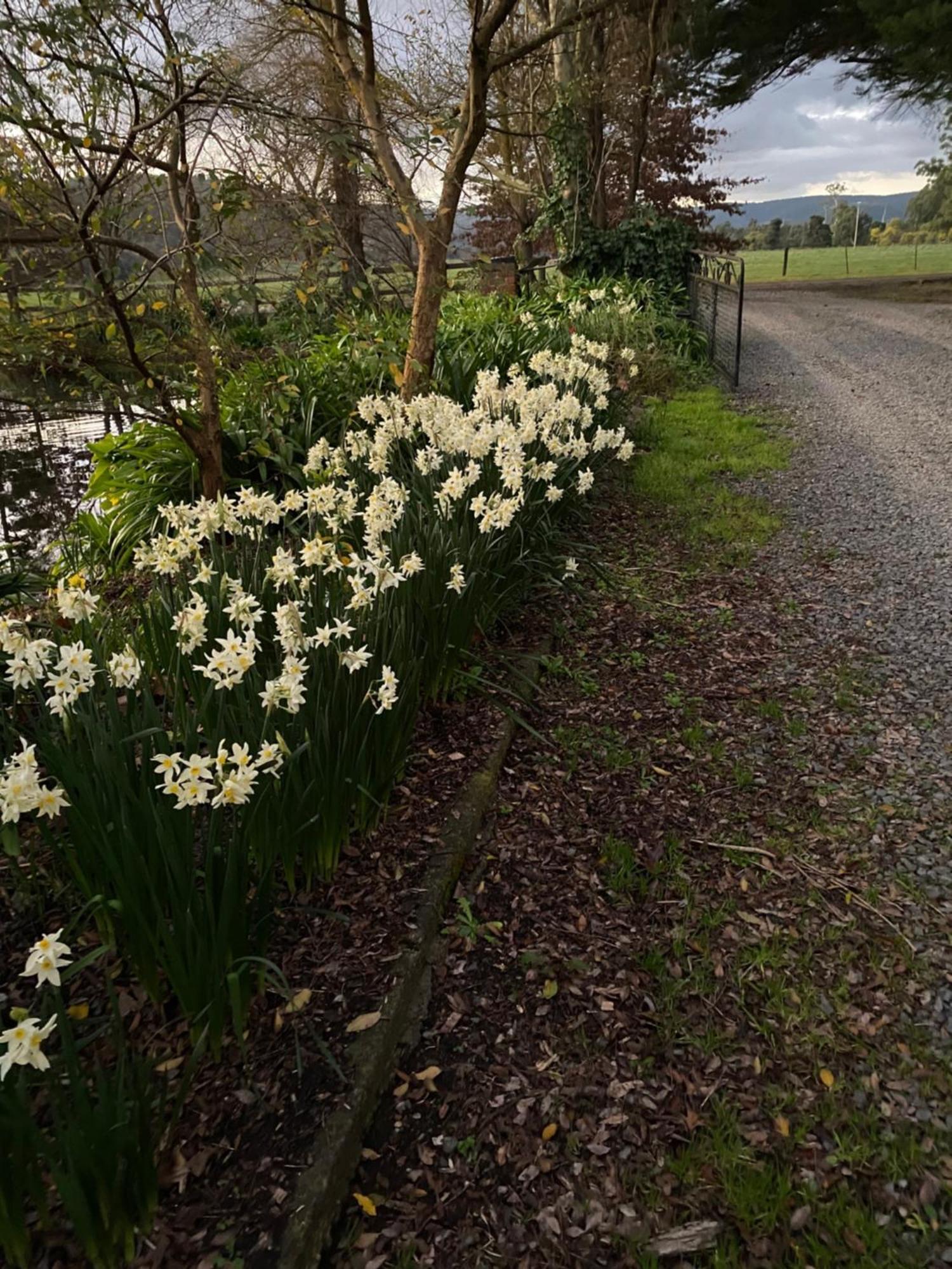 Motel Holly Lane Mews Yarra Glen Exterior foto