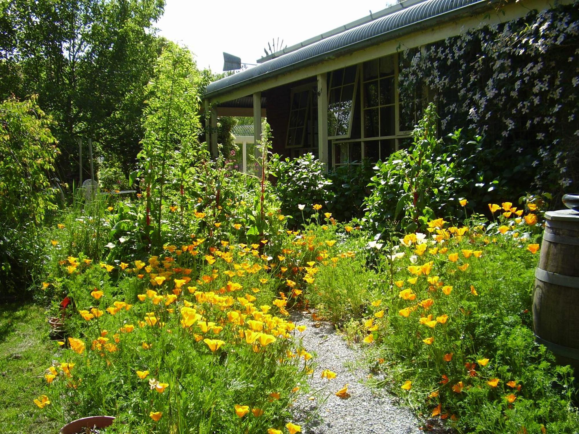 Motel Holly Lane Mews Yarra Glen Exterior foto
