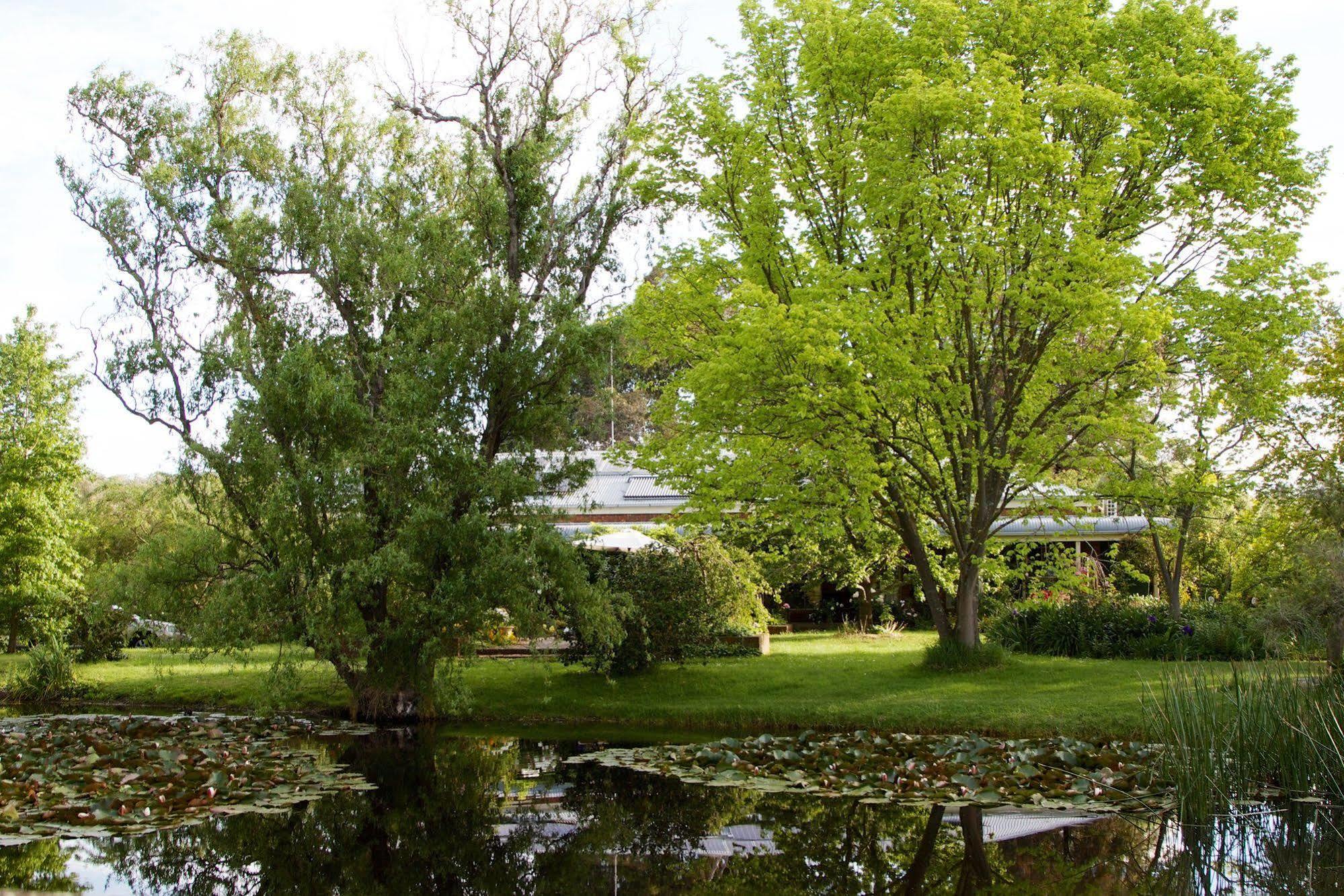 Motel Holly Lane Mews Yarra Glen Exterior foto