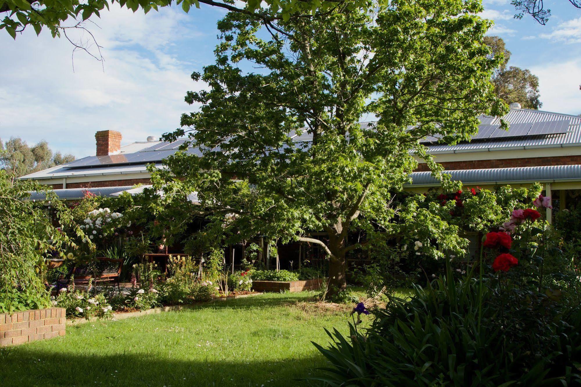 Motel Holly Lane Mews Yarra Glen Exterior foto
