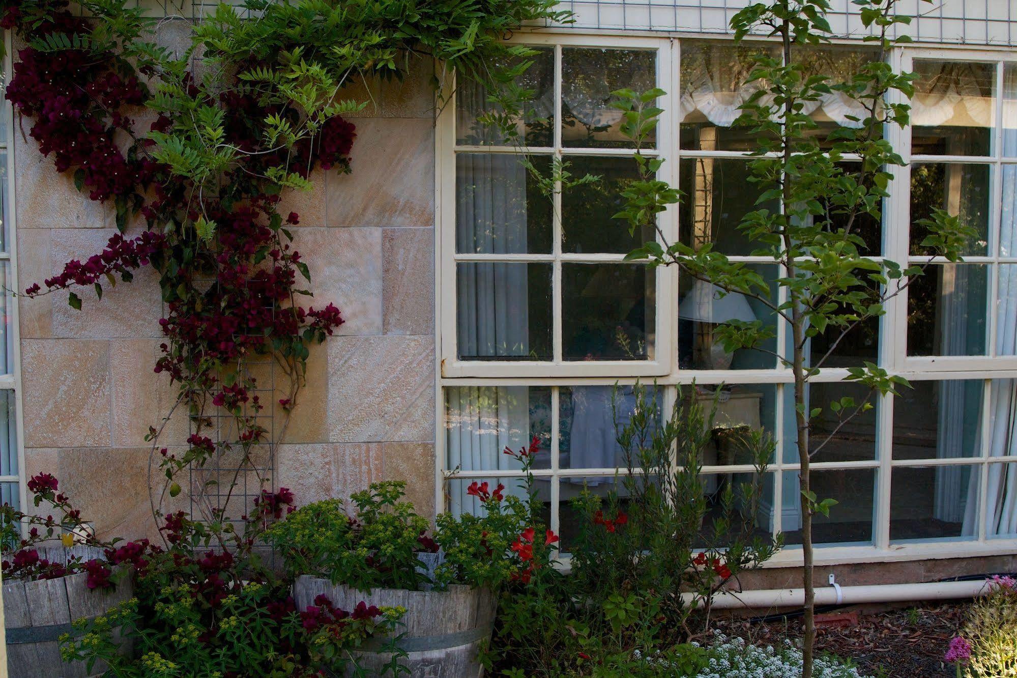 Motel Holly Lane Mews Yarra Glen Exterior foto